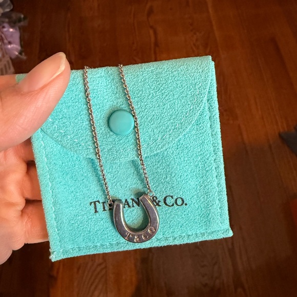 Tiffany & Co. Jewelry - Tiffany & Co. Silver Horseshoe Necklace